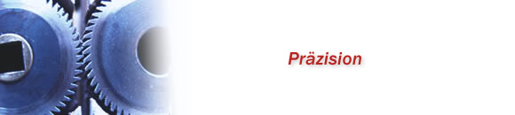 Präzision